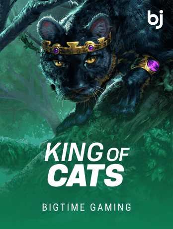 King of Catspng